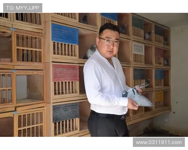 与刘芳的深度对话回顾她的足球生涯与未来展望 与刘芳的深度对话回顾她的足球生涯与未来展望