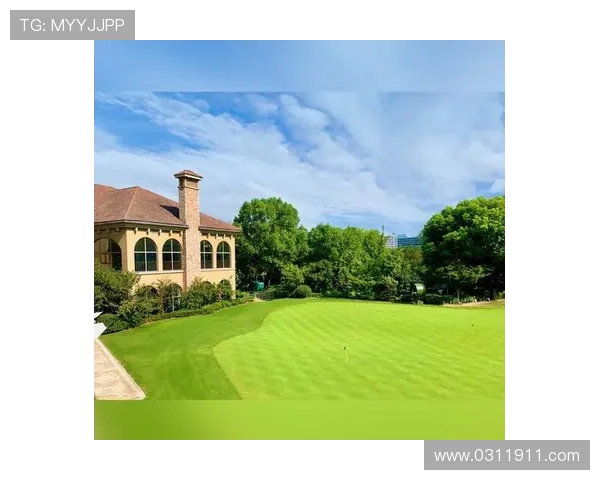 优雅之舞球场上的绅士与淑女足球明星的魅力与风采