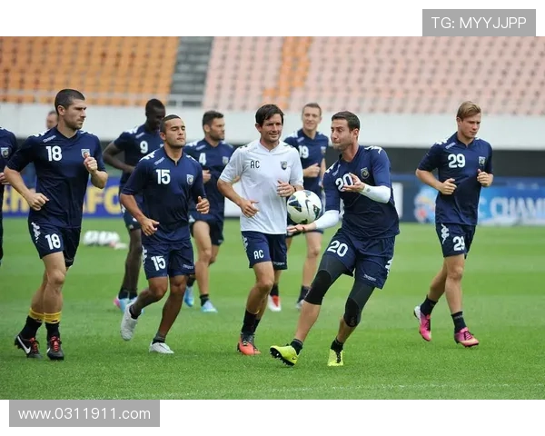 全球足球明星队员汇聚各国风采展现球场魅力与激情