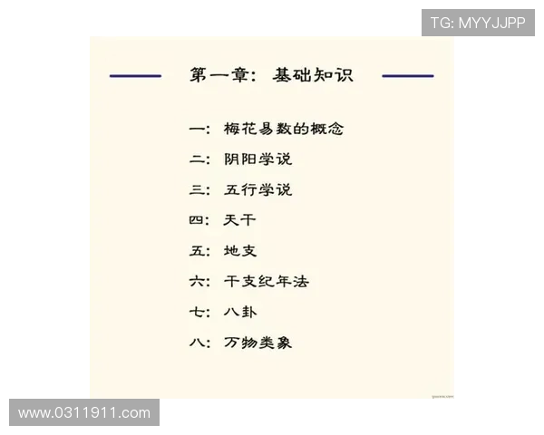 深入探讨成都足球队球员个人能力表现的数据分析与趋势解读